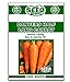 Photo Danvers Half Long Carrot Seeds - 1000 Seeds Non-GMO review