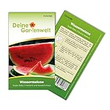 Wassermelonen Sugar Baby Samen - Citrullus lanatus - Wassermelonensamen - Obstsamen - Saatgut für 10 Pflanzen Foto, neu 2024, bester Preis 1,99 € (0,20 € / stück) Rezension