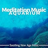 Soothing New Age Music Photo, new 2024, best price $0.99 review