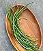Photo Burpee Yardlong Asparagus Pole Bean Seeds 1 ounces of seed review