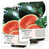 Seed Needs, Sugar Baby Watermelon (Citrullus lanatus) Twin Pack of 100 Seeds Each Non-GMO Photo, new 2024, best price $4.85 ($0.05 / Count) review