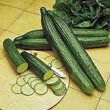 Cucumber, Long Green Improved, Heirloom,99+ Seeds, Great for Any Veggie Platter Photo, new 2024, best price $2.99 review