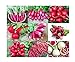 Photo Please Read! This is A Mix!!! 100+ Radish Mix 9 Varieties Seeds, Heirloom Non-GMO, Colorful, Pink, Red, White, Sweet and Mild, from USA review