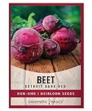 Beet Seeds for Planting Detroit Dark Red 100 Heirloom Non-GMO Beets Plant Seeds for Home Garden Vegetables Makes a Great Gift for Gardeners by Gardeners Basics Photo, new 2024, best price $5.95 review