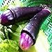 Foto TENGGO Egrow 100 Teile/Paket Lila Pfeffer Samen Hausgarten Lustige Chili Peppers Gemüse Seasoners Rezension