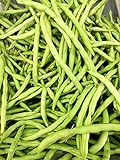 Petite Fillet French Bean Seeds for Planting 1/4 OZ, Non-GMO, American Seeds, Heirloom, Phaseolus vulgaris Photo, new 2024, best price $6.99 review