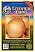 Photo Everwilde Farms - 500 Texas Early Grano Onion Seeds - Gold Vault Jumbo Seed Packet review