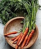Burpee Scarlet Nantes Carrot Seeds 3000 seeds Photo, new 2024, best price $7.40 review