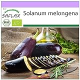 SAFLAX - BIO - Aubergine - Longue violette - 20 graines - Solanum melongena Photo, nouveau 2024, meilleur prix 3,95 € examen
