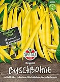 80002 Sperli Premium Buschbohnen Samen Berggold | Ertragreich | Fadenlos | Buschbohnen Samen ohne Fäden | Ackerbohnen Saatgut Foto, neu 2024, bester Preis 3,48 € (3,48 € / count) Rezension