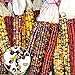 Foto Benoon Mais-Samen, 1 Beutel Maisohren, nicht-GVO, bunt, Glas, Maissamen für Botaniker, gemischte Farben, Maissamen Rezension
