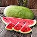 Photo NIKA SEEDS - Fruit Watermelon Charleston Grey Green - 20 Seeds review