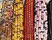 Photo Mountain Indian Corn Seeds for Planting Outdoors, 100+ Rainbow Corn Seeds ( Mixed Painted Mountain Indian Corn ), Rainbow Corn Seeds, Ornamental Corn review
