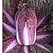 Photo David's Garden Seeds Cabbage Merlot 9797 (Red) 50 Non-GMO, Hybrid Seeds review