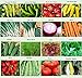 Photo Set of 16 Assorted Organic Vegetable Seeds & Herb Seeds 16 Varieties Create a Deluxe Garden All Seeds are Heirloom, 100% Non-GMO Sweet Pepper Seeds, Hot Pepper Seeds-Red Onion Seeds- Green Onion Seeds review
