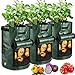 Photo JJGoo Potato Grow Bags, 3 Pack 10 Gallon with Flap and Handles Planter Pots for Onion, Fruits, Tomato, Carrot review