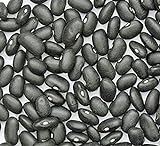 Bean Seed, Black Turtle Bush Bean, Heirloom, Non GMO, 100 Seeds, Terrific Black Beans Photo, new 2024, best price $3.99 review