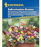 Balkonkasten-Blumenmix Pflegeleichte Sonnenkinder,1 Portion Foto, neu 2024, bester Preis 3,99 € Rezension