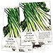 Photo Seed Needs, Tokyo Long White Onion (Allium fistulosum) Twin Pack of 850 Seeds Each Non-GMO review
