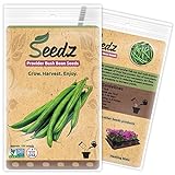Organic Green Bean Seeds, APPR. 125, Green Bean, Heirloom Vegetable Seeds, Certified Organic, Non GMO, Non Hybrid, USA Photo, new 2024, best price $7.88 review