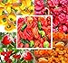 Photo BIG PACK - (500+ Seeds) Hot Pepper Combo I - Bhut Jolokia Ghost Pepper, Habanero Orange, Habanero Red, Jamaican Yellow, Jamaican Red Pepper Seeds- Non-GMO Seeds by MySeeds.Co (BIG PACK - Hot Pepper I) review