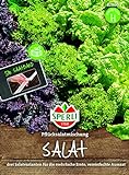 82860 Sperli Premium Salat Samen Mix | Pflücksalat Salatmischung | Saatband | Salat Saatgut | Salat Mix Samen Foto, neu 2024, bester Preis 3,72 € Rezension