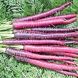 David's Garden Seeds Carrot Cosmic Purple 1199 (Purple) 200 Non-GMO, Heirloom Seeds Photo, new 2024, best price $3.45 review
