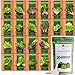 Photo Bulk Lettuce & Leafy Greens Seed Vault - 3000+ Non-GMO Vegetable Seeds for Planting Indoor or Outdoor - Kale, Spinach, Butter, Oak, Romaine Bibb & More - Hydroponic Home Garden Seeds (20 Variety) review