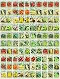 100 Assorted Heirloom Vegetable Seeds 100% Non-GMO (100, Deluxe Assorted Vegetable Seeds) Photo, new 2024, best price $47.99 ($0.48 / Count) review