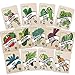 Photo Heirloom Vegetable Seeds Kit 13 Pack – 100% Non GMO for Planting in Your Indoor or Outdoor Garden: Tomato, Peppers, Zucchini, Broccoli, Beet, Bean, Carrot, Kale, Cucumber, Pea, Radish, Lettuce review