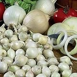 Onion Sets Red,Yellow,White or Mix 40-70 bulbs) Garden Vegetable- Choose a color(Yellow) Photo, new 2024, best price $6.35 ($0.12 / Count) review