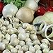 Photo Onion Sets Red,Yellow,White or Mix 40-70 bulbs) Garden Vegetable- Choose a color(Yellow) review