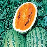 Burpee Orange Tendersweet Watermelon Seeds 60 seeds Photo, new 2024, best price $7.19 review