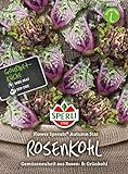 81180 Sperli Premium Rosenkohl Samen Flower Sprouts | Neuheit | Mischung aus Rosenkohl und Grünkohl | Rosenkohl Saatgut | Kohl Samen Foto, neu 2024, bester Preis 6,77 € Rezension