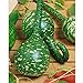 Photo Long Handle Dipper Gourd Seeds for Planting - 20 Seeds review