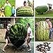 Foto 30 / bolsa de semillas de sandía gigante, verduras sabor dulce y semillas de frutas gigantes muy delicioso revisión