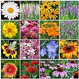 All Perennial Wildflower Seed Mix - 1/4 Pound, Mixed, Attracts Pollinators, Attracts Hummingbirds, Easy to Grow & Maintain Photo, new 2024, best price $14.25 review