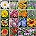 Photo All Perennial Wildflower Seed Mix - 1/4 Pound, Mixed, Attracts Pollinators, Attracts Hummingbirds, Easy to Grow & Maintain review