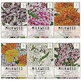 Seed Needs, Milkweed Seed Packet Collection to Attract Monarch Butterflies (6 Individual Seed Packets) Heirloom Untreated Milkweed Seeds Photo, new 2024, best price $16.85 ($2.81 / Count) review