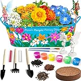 Little Planters Paint & Grow Fairy Garden with Real Flowers and Magical Fairies - Paint, Plant and Grow Morning Glory, Marigold and Alyssum Flowers - Craft Kit for Kids All Ages Both Girls and Boys Photo, new 2024, best price $24.99 review