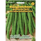Stangenbohnen 'Quedlinburger Speck' mittelfrüh, grün, ohne Fäden Foto, neu 2024, bester Preis 2,29 € Rezension