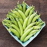 David's Garden Seeds Pea Snap Cascadia 4567 (Green) 100 Non-GMO, Open Pollinated Seeds Photo, new 2024, best price $3.45 review