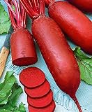 Seeds4planting - Seeds Beet Rival Red Giant Heirloom Vegetable Non GMO Photo, new 2024, best price $6.94 review