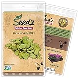 Organic Bean Seeds, APPR. 30, Windsor Fava Bean, Heirloom Vegetable Seeds, Certified Organic, Non GMO, Non Hybrid, USA Photo, new 2024, best price $7.99 review