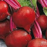 Bulk Organic Detroit Dark Red Beet Seeds Non GMO (1 Lb) Photo, new 2024, best price $16.95 review