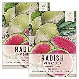 Seed Needs, Watermelon Radish (Raphanus sativus) Twin Pack of 500 Seeds Each Non-GMO Photo, new 2024, best price $7.99 review