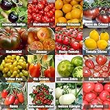Set de graines de tomates PRADEMIR – 16 variétés de tomates - Graines 100% naturelles du Portugal - Variétés rares et anciennes à haut taux de germination. Photo, nouveau 2024, meilleur prix 7,99 € examen