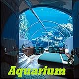 Aquarium Foto, neu 2024, bester Preis 0,92 € Rezension