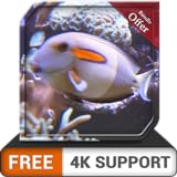 free deep fish tank HD - dekorieren Sie Ihr Zimmer mit einem wunderschönen Live-Aquarium auf Ihrem HDR 4K-Fernseher, 8K-Fernseher und Feuergeräten als Hintergrundbild, Dekoration für die Weihnachtsfer Foto, neu 2024, bester Preis 0,00 € Rezension
