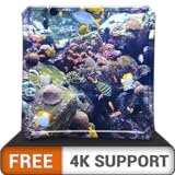 aquarium HD de beauté aquatique gratuit - décorez votre chambre avec un magnifique aquarium de vie marine sur votre téléviseur HDR 4K 8K et des dispositifs d'incendie comme fond d'écran, décoration po Photo, nouveau 2024, meilleur prix 0,00 € examen